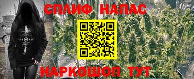 трава Кингисепп