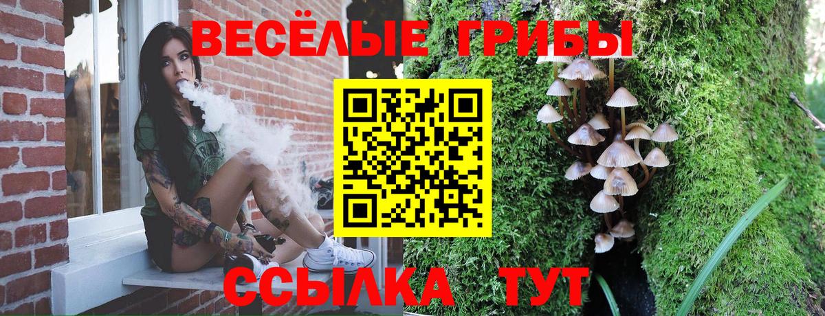 Жигулёвск  Псилоцибиновые грибы Psilocybine cubensis  Вход с VPN 
