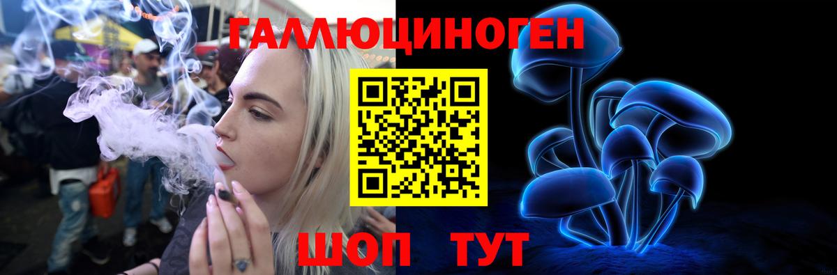 Псилоцибиновые грибы Cubensis Жигулёвск